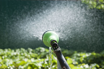 Close-up of water drops on ball