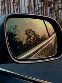 Reflection of trees on side-view mirror