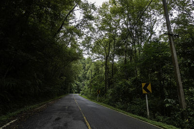 Road amidst trees in forest