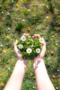 Close-up of hand holding flower