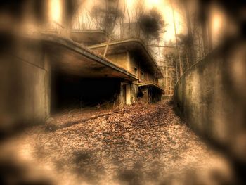 Bridge over trees