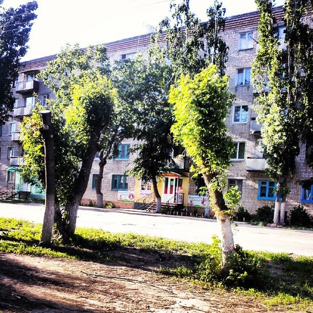 building exterior, architecture, built structure, tree, growth, house, plant, grass, sunlight, residential building, green color, residential structure, lawn, street, city, day, footpath, clear sky, outdoors, incidental people