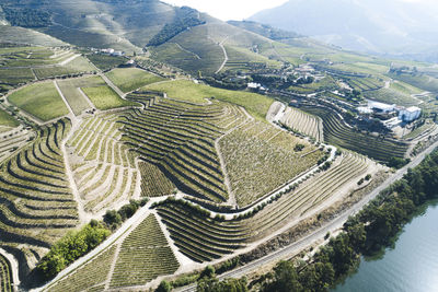 Douro vineyards from aerial view