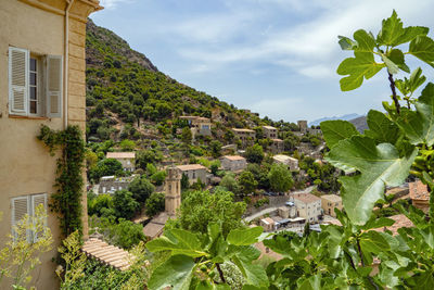 High angle view of trees and mountains against sky