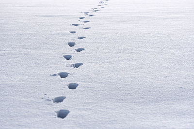 High angle view of footprints on snow