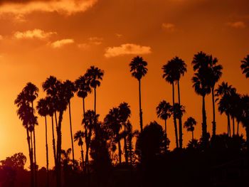 Silhouette palm trees against sky during sunset