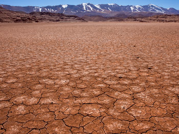 View of barren landscape