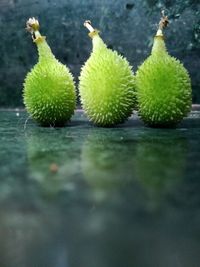 Close-up of fruits growing in lake