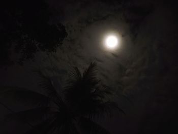 Low angle view of silhouette tree against sky at night