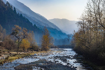 River flowing through misty mountain valley covered with dense forests and blue sky at dawn