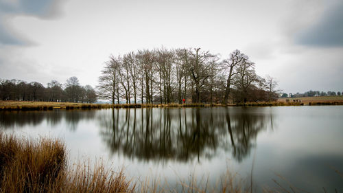 Reflection of trees in lake against sky