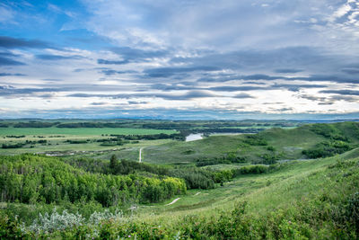 Scenic view of field against sky