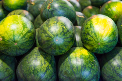 Pile of green ripe watermelons at market. can be used as food background