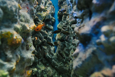 Close-up of rocks in water