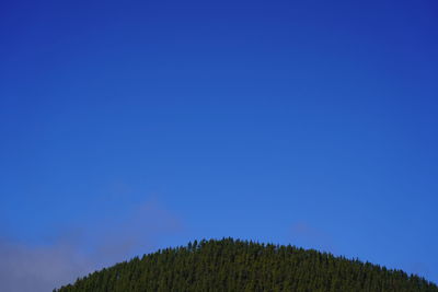 Scenic view of trees against clear blue sky