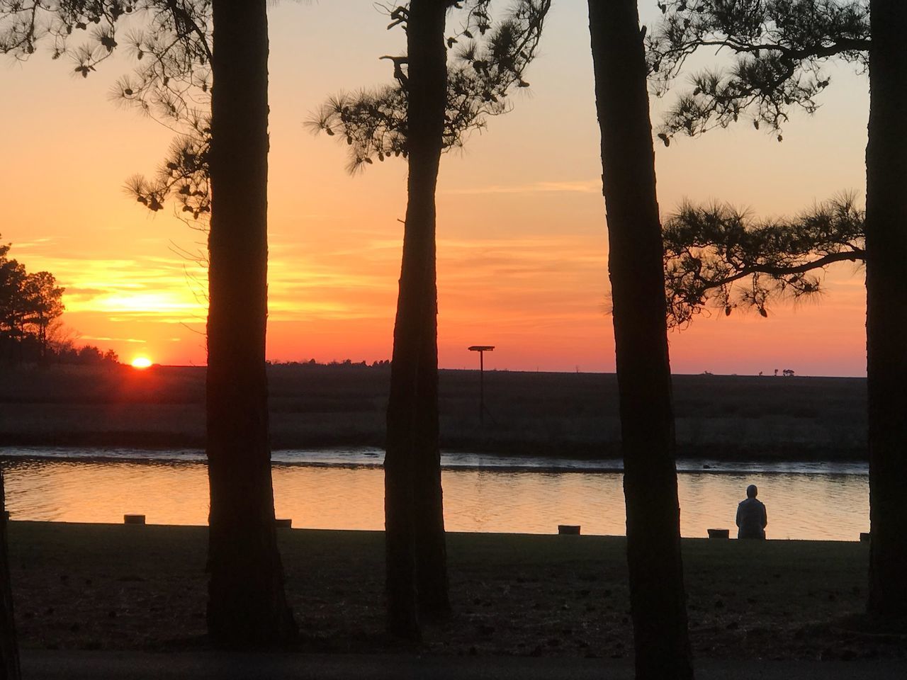 SILHOUETTE TREES BY SEA AGAINST SKY DURING SUNSET