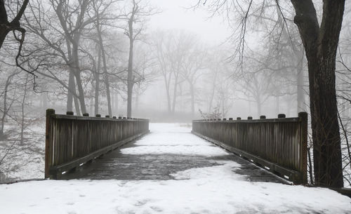 Snow covered street amidst trees during winter