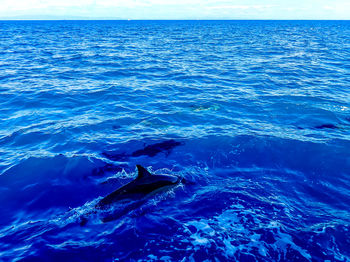 Aerial view of sea