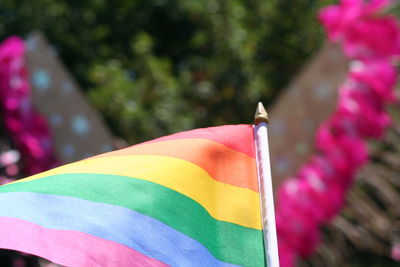 Close-up of multi colored flags