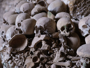 High angle view of human skulls