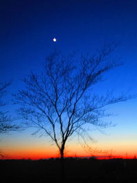 Silhouette bare tree against sky during sunset