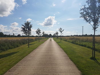 Road passing through field