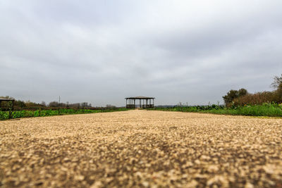 Surface level of field against sky