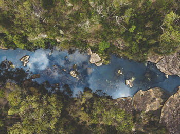 High angle view of rocks by trees in lake