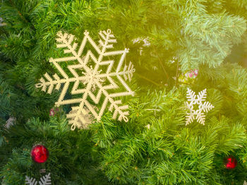 Close-up of christmas tree in grass