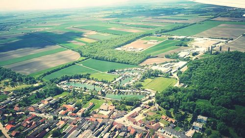 Aerial view of agricultural field