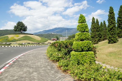 View on an empty road and trees on a hill on a background of mountains on a sunny day. 
