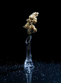 Close-up of glass vase on table against black background