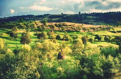 Scenic view of field against cloudy sky