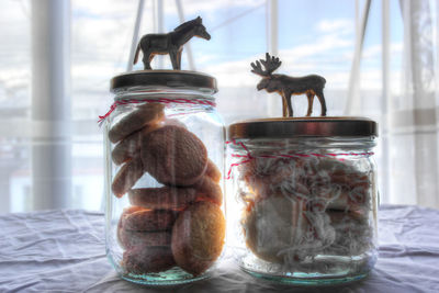 Close-up of birds in jar