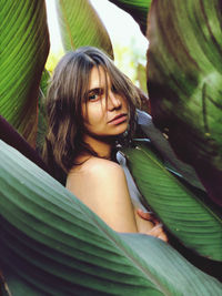 A primeval dive in a concrete jungle