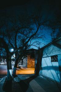 Bare trees by illuminated building against sky at night