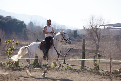 Man riding horse on field