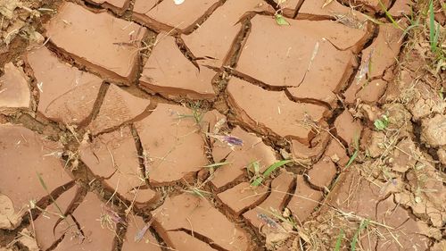 High angle view of mud in desert