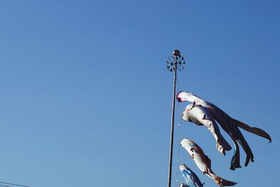 Low angle view of birds against clear blue sky