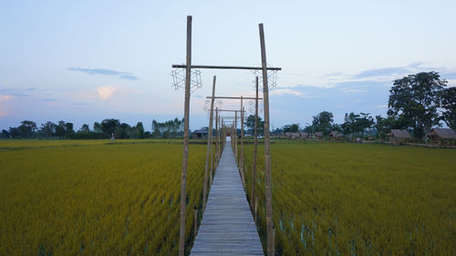 Scenic view of land amidst trees on field against sky