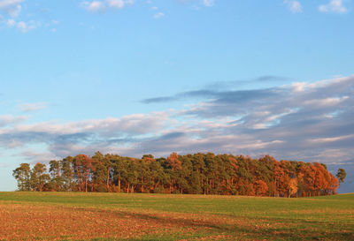 Trees on field against sky during autumn