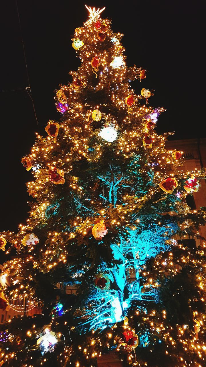 LOW ANGLE VIEW OF ILLUMINATED CHRISTMAS TREE AGAINST SKY