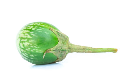 Close-up of green fruit against white background