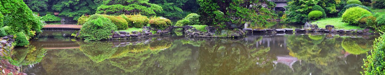 Scenic view of lake by trees