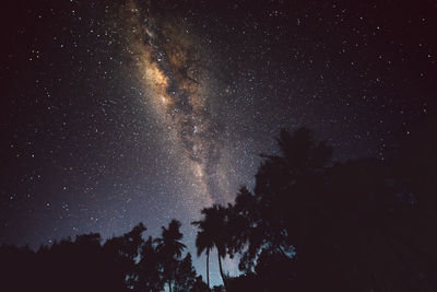 Low angle view of trees against sky at night