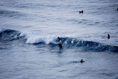 High angle view of silhouette people surfing in sea