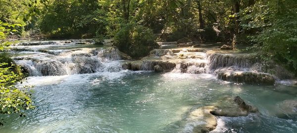 Scenic view of waterfall in forest