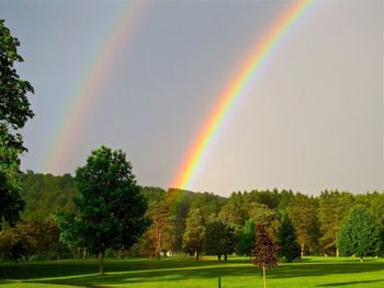 Scenic view of rainbow over trees on field