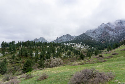 Panoramic view of landscape against sky