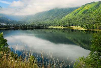 Scenic view of lake by trees against sky